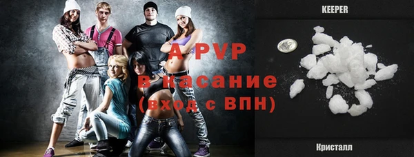 СК Алзамай