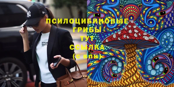 спиды Алексин