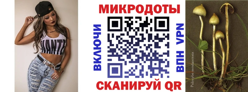 даркнет сайт мориарти клад Псилоцибиновые грибы мухоморы Поронайск МЕГА вход